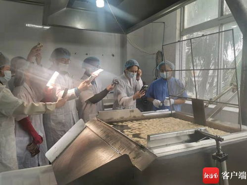 海南本土網(wǎng)紅探訪龍泉人食品工廠 為網(wǎng)友安全采購年貨 保駕護航